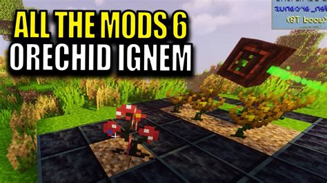 how to use orechid ignem.